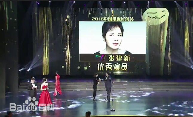 张建新2016年中国电视好演员评选图册