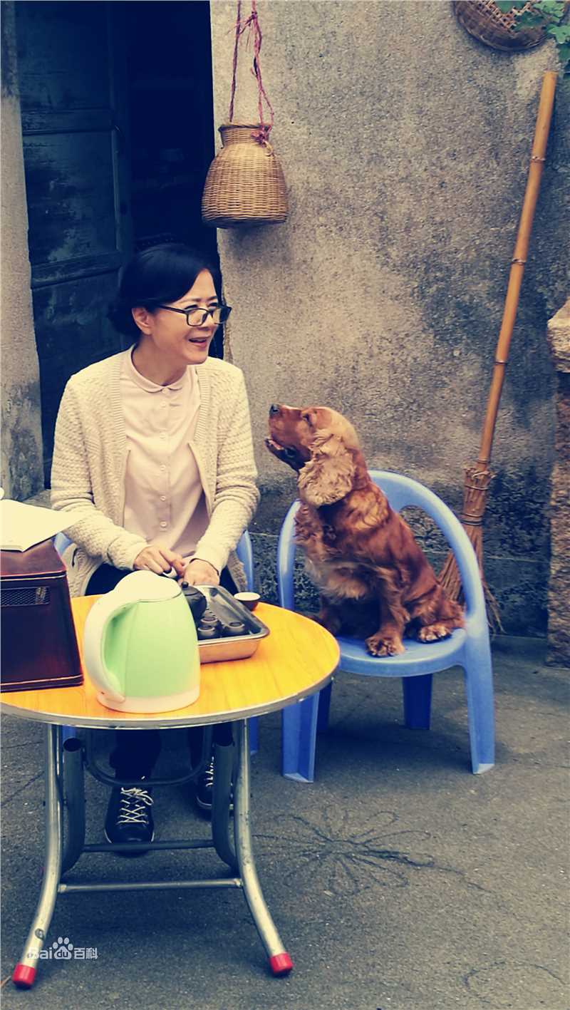 张建新最优质剧照