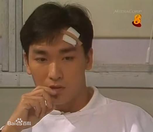 陈泰鸣(Rayson Tan)霹雳红唇 帅家明图册