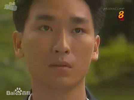 陈泰鸣(Rayson Tan)霹雳红唇 帅家明图册