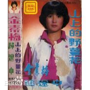 高清高金素梅(Chin May)性感图片