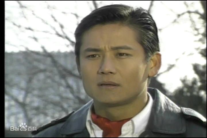 高清徐乃麟图片