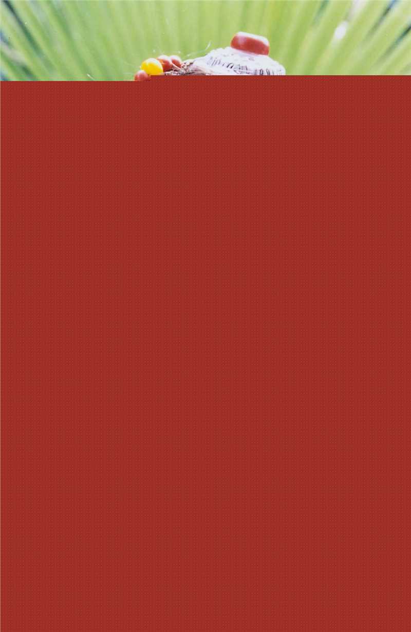 范春霞影视剧照集萃