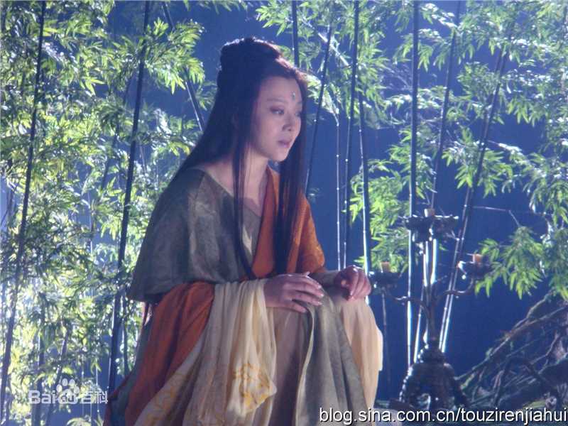 梁丽电视剧精选剧照