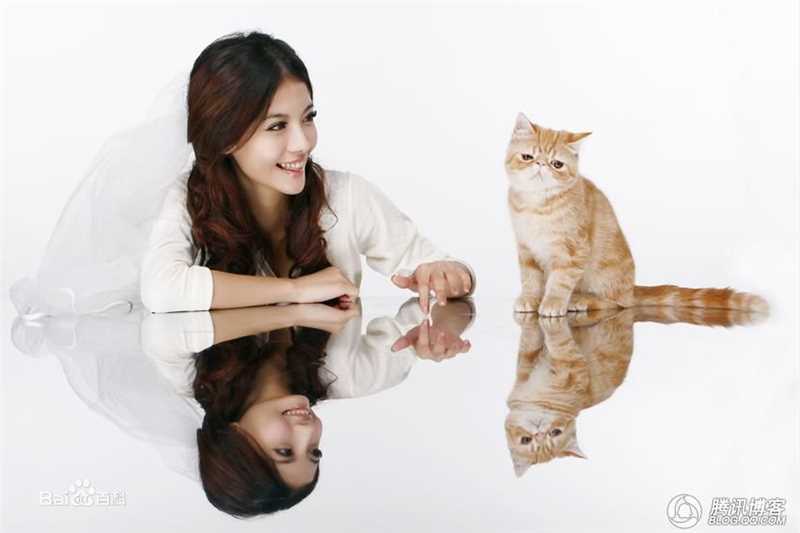 王乐妍(Chloe Wang)素颜照