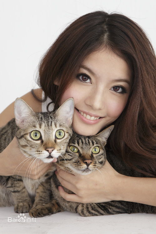 最优质王乐妍(Chloe Wang)生活照