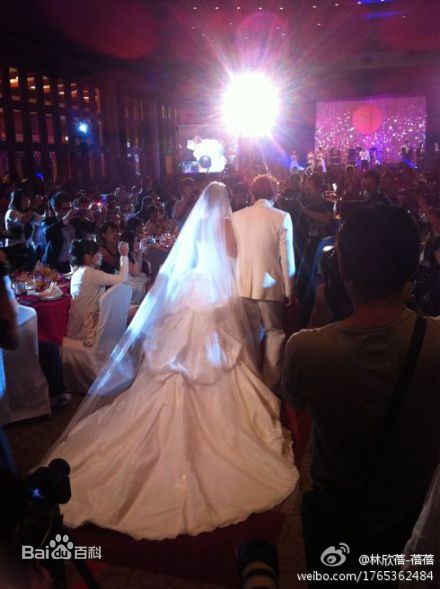 庹宗康圆山饭店台北婚宴图片图册