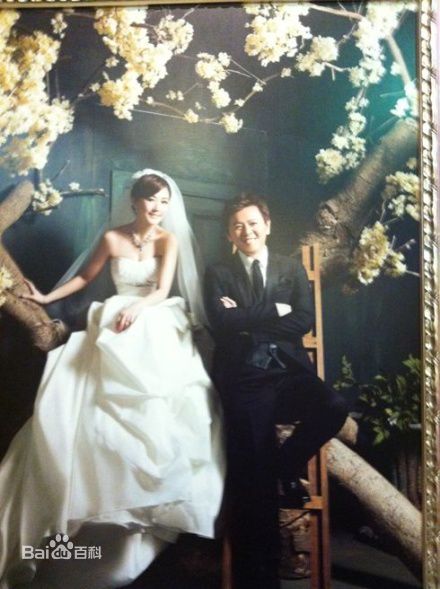 庹宗康圆山饭店台北婚宴图片图册