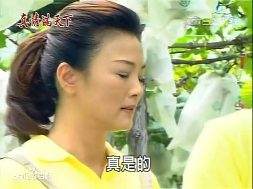 徐贵樱(Kuei-Ying Hsu)出演真情满天下壁纸壁纸