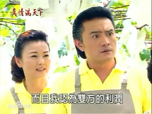 徐贵樱(Kuei-Ying Hsu)出演真情满天下壁纸壁纸