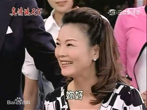 徐贵樱(Kuei-Ying Hsu)出演真情满天下壁纸壁纸