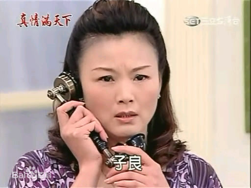 徐贵樱(Kuei-Ying Hsu)出演真情满天下壁纸壁纸