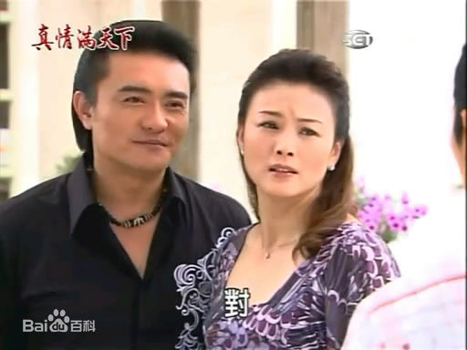 徐贵樱(Kuei-Ying Hsu)出演真情满天下壁纸壁纸