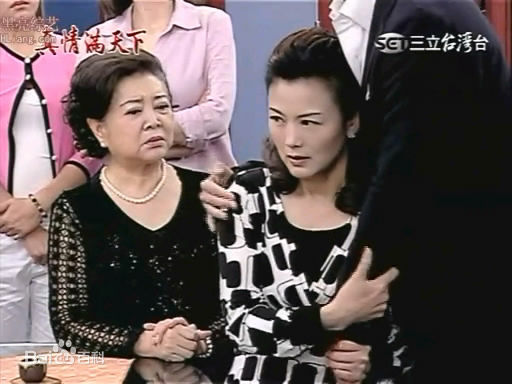 徐贵樱(Kuei-Ying Hsu)出演真情满天下壁纸壁纸