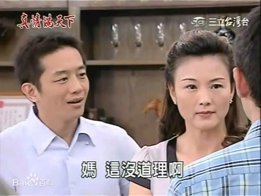 徐贵樱(Kuei-Ying Hsu)出演真情满天下壁纸壁纸