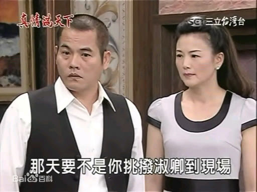 徐贵樱(Kuei-Ying Hsu)出演真情满天下壁纸壁纸