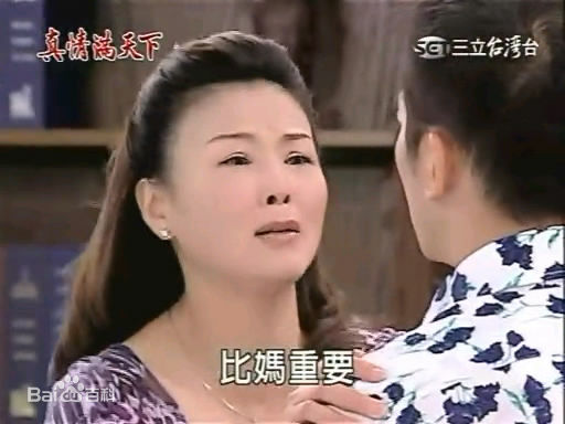徐贵樱(Kuei-Ying Hsu)出演真情满天下壁纸壁纸