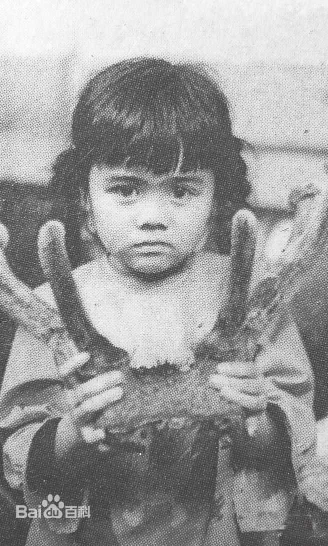 林美秀早期经历图片素颜照相册