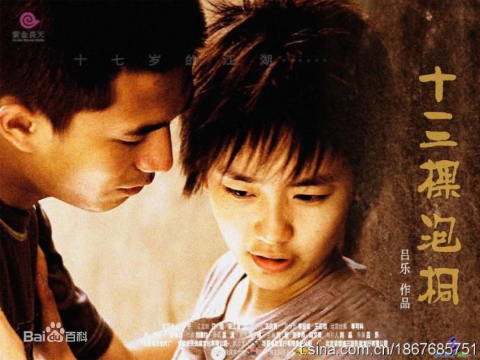 段博文作品最优质剧照