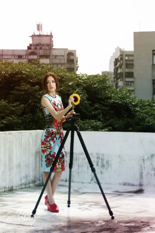 高清柯佳嬿(Alice Ko)精彩图册