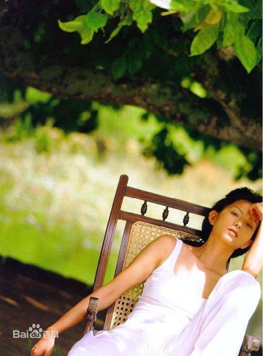 最全叶全真(ElsieYeh)壁纸