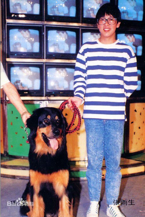 高清张雨生(Tom Zhang)在1988《天天想你》专辑照中的图集