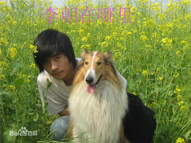 李志奇前后照片