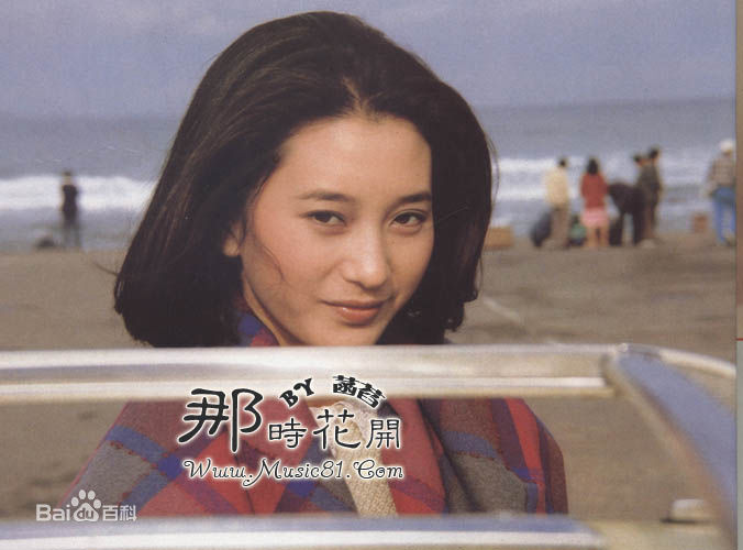 最新苏明明壁纸