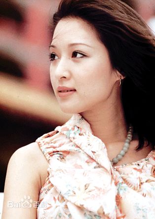 胡因梦(Terry Hu)茵梦画册图册