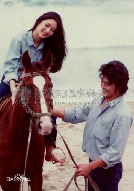 胡因梦(Terry Hu)茵梦画册图册