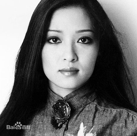 胡因梦(Terry Hu)茵梦画册图册