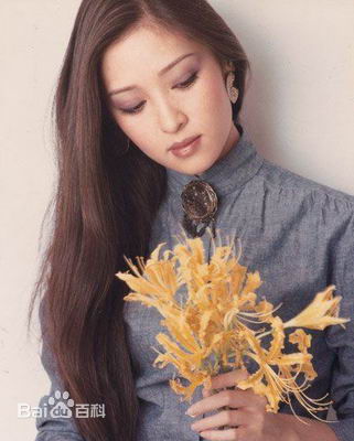 胡因梦(Terry Hu)茵梦画册图册