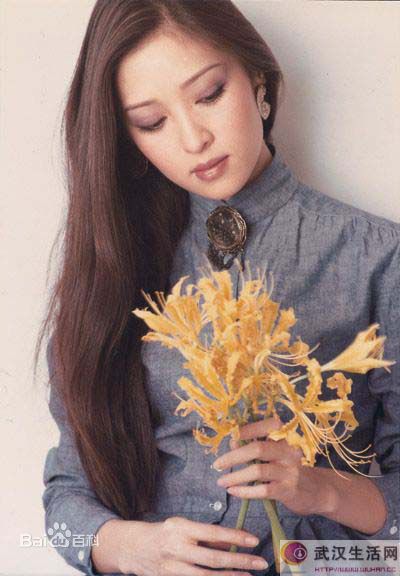 胡因梦(Terry Hu)茵梦画册图册