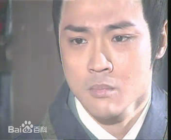 宋达民(Vence)版林平之图片图集