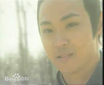 宋达民(Vence)版林平之图片图集