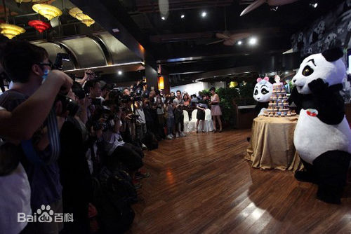 汤盈盈(Angela)与钱嘉乐婚礼素颜照壁纸