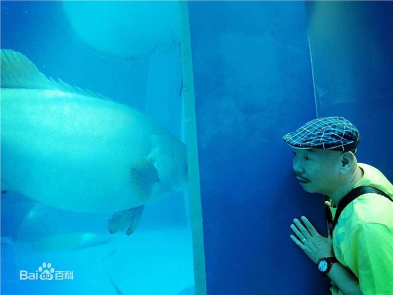 高清顾宝明(Paoming Ku)精彩图册