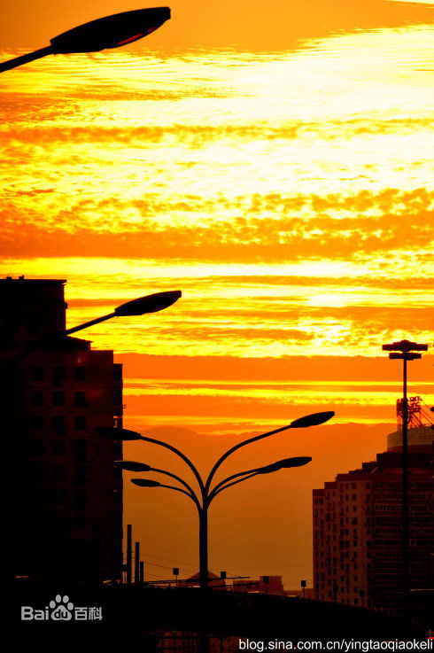 顾宝明(Paoming Ku)生活照