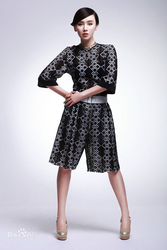 王晶时尚透视装迷人壁纸壁纸