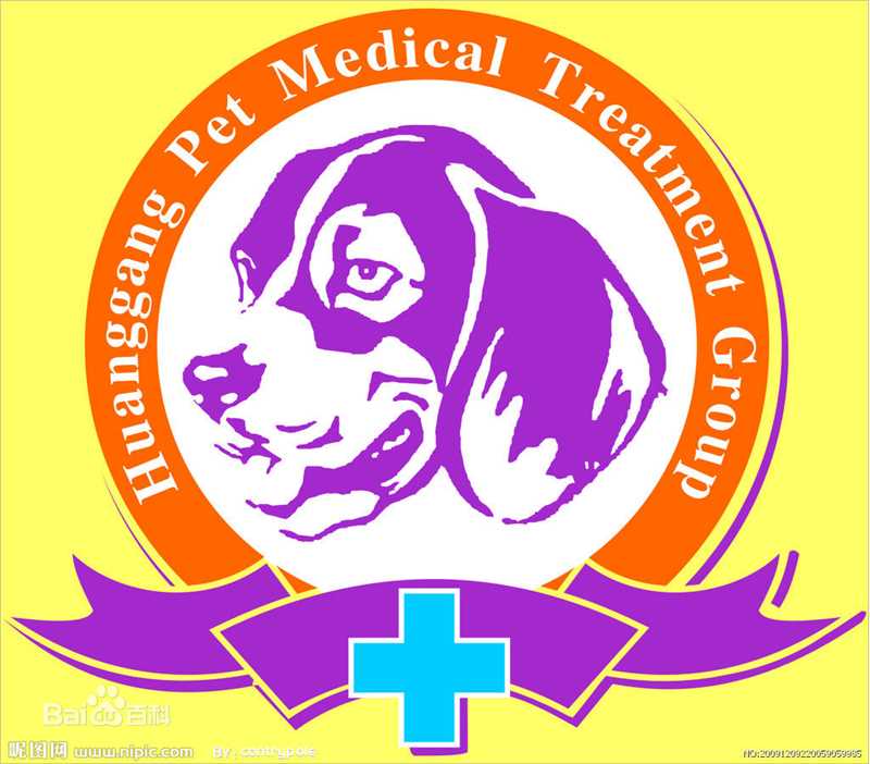 最优质王晶生活照