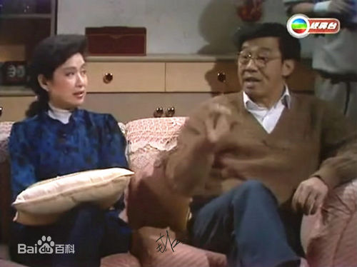 最全南红、苏淑眉（本名）(Nam Hung、So Shook Mei)壁纸