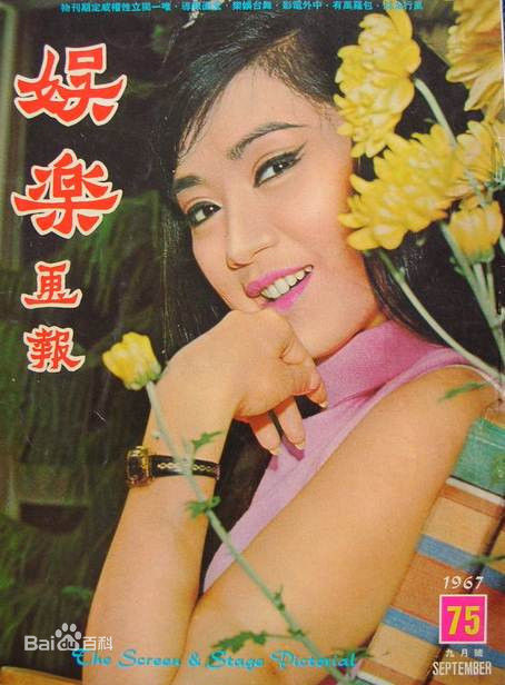 最全南红、苏淑眉（本名）(Nam Hung、So Shook Mei)壁纸