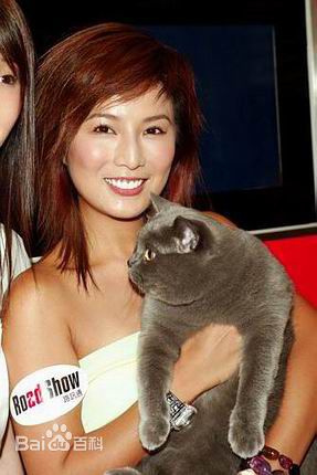 何婉盈的生活照和参加活动的照片素颜照相册