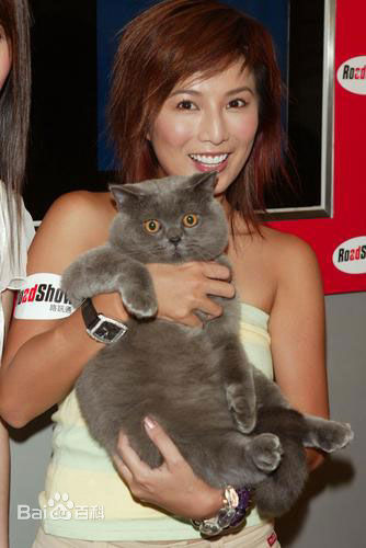 何婉盈的生活照和参加活动的照片素颜照相册