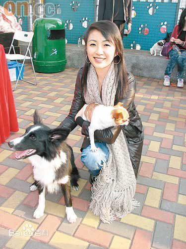 何婉盈的生活照和参加活动的照片素颜照相册