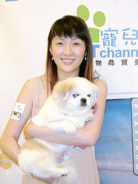 何婉盈的生活照和参加活动的照片素颜照相册