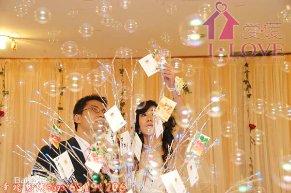 陈坚红婚礼典礼图片图集