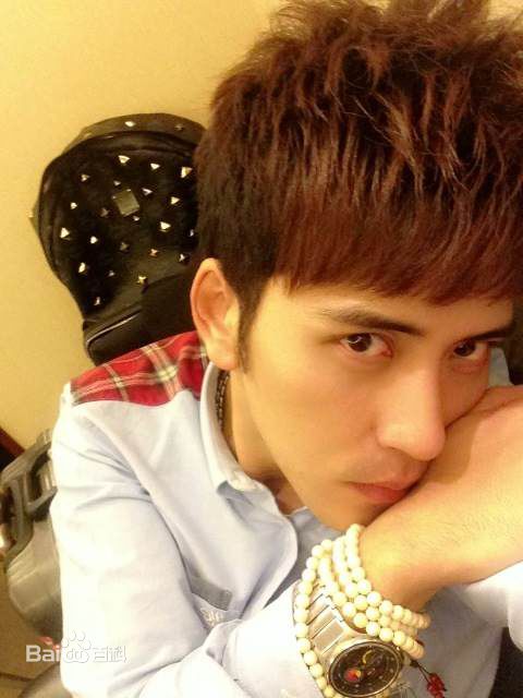 最新扎西顿珠在2007年《加油！好男儿》中的图集