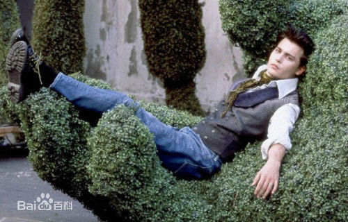 约翰尼·德普(Johnny Depp)早年的生活照相册