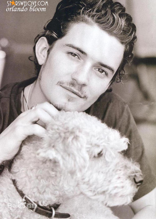 奥兰多·布鲁姆(Orlando Jonathan Blanchard Bloom)最全壁纸